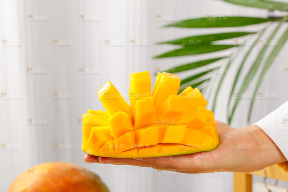 手里拿着凯特芒