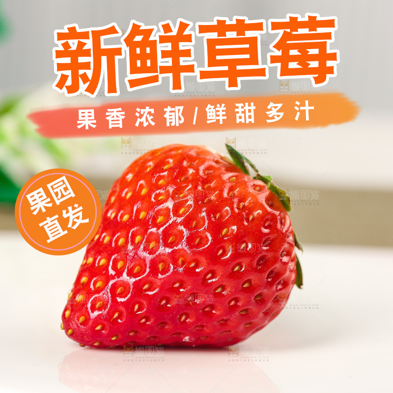 浅底上的丹东大草莓