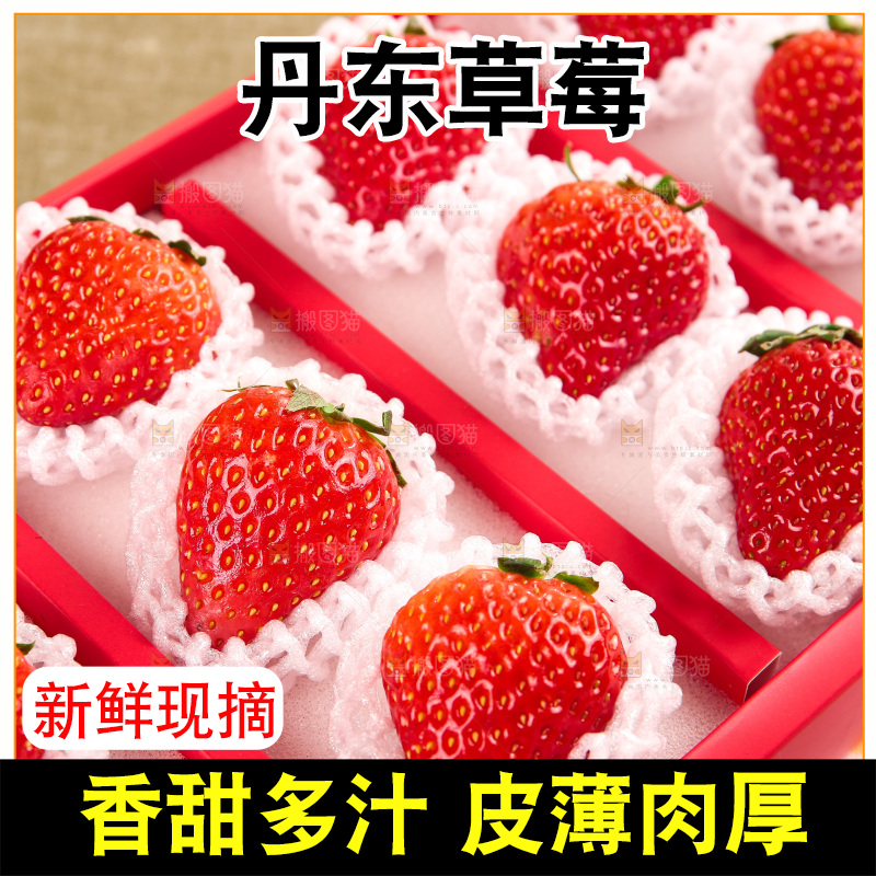 礼盒装新鲜丹东草莓