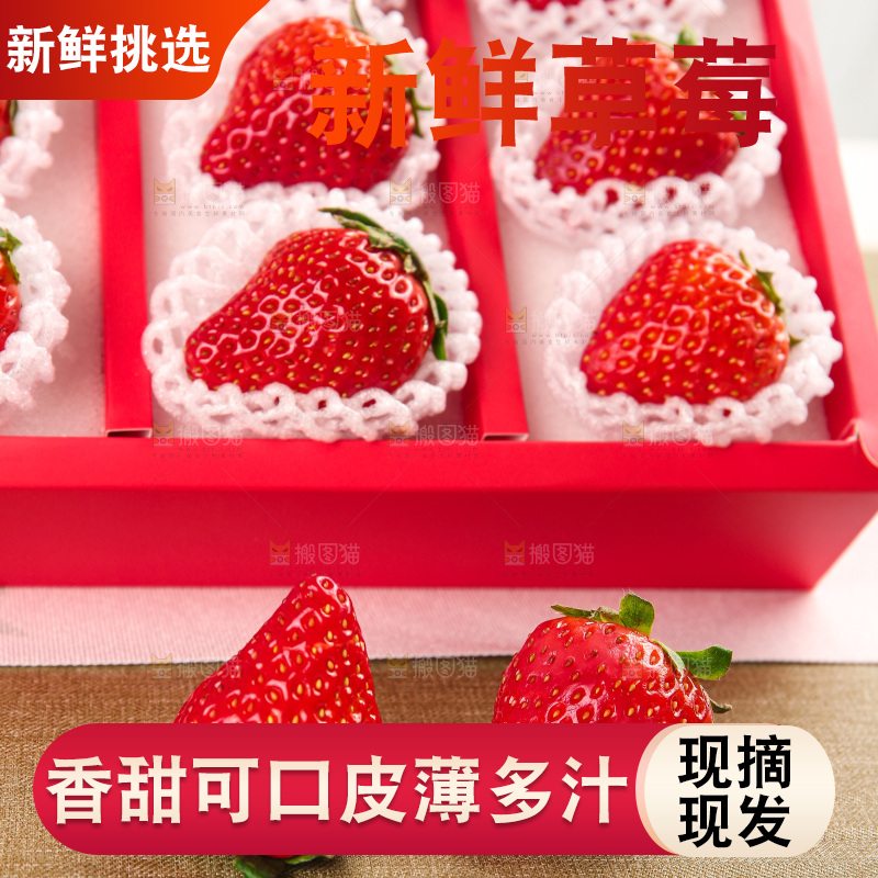 礼盒装新鲜丹东草莓