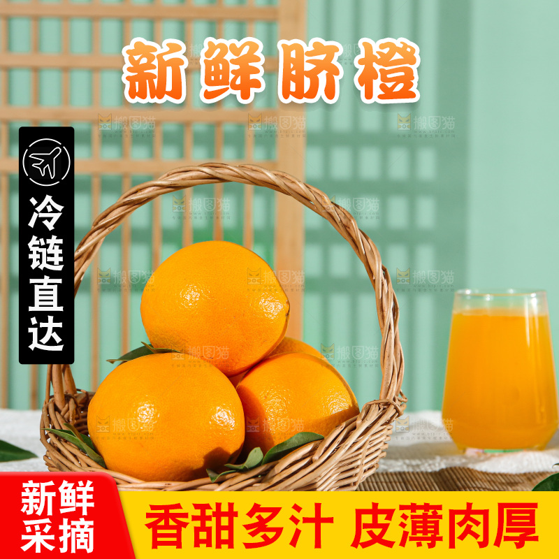 浅底上的赣南脐橙