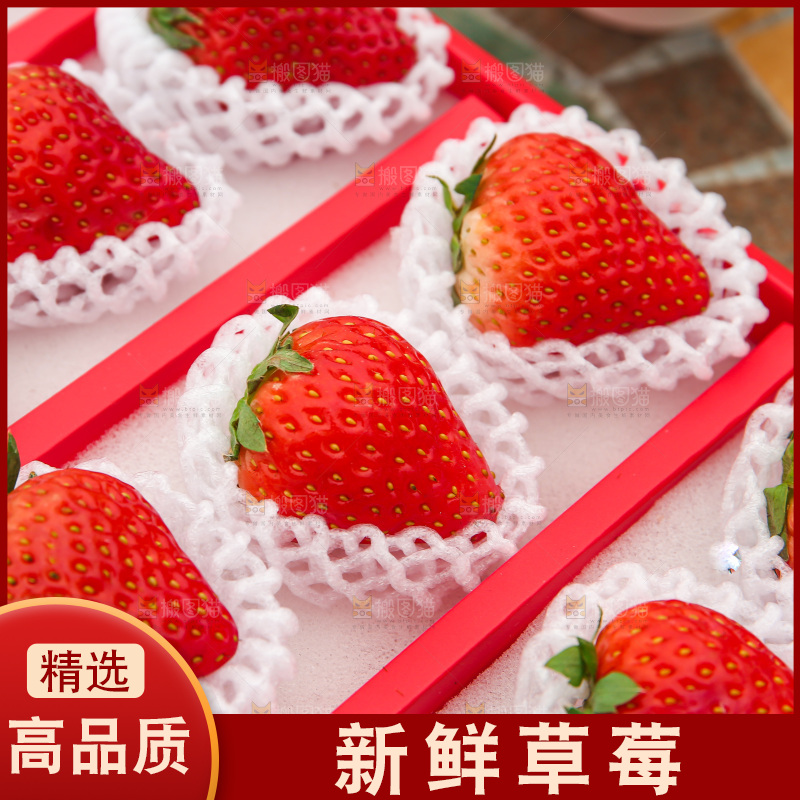 礼盒装新鲜丹东草莓