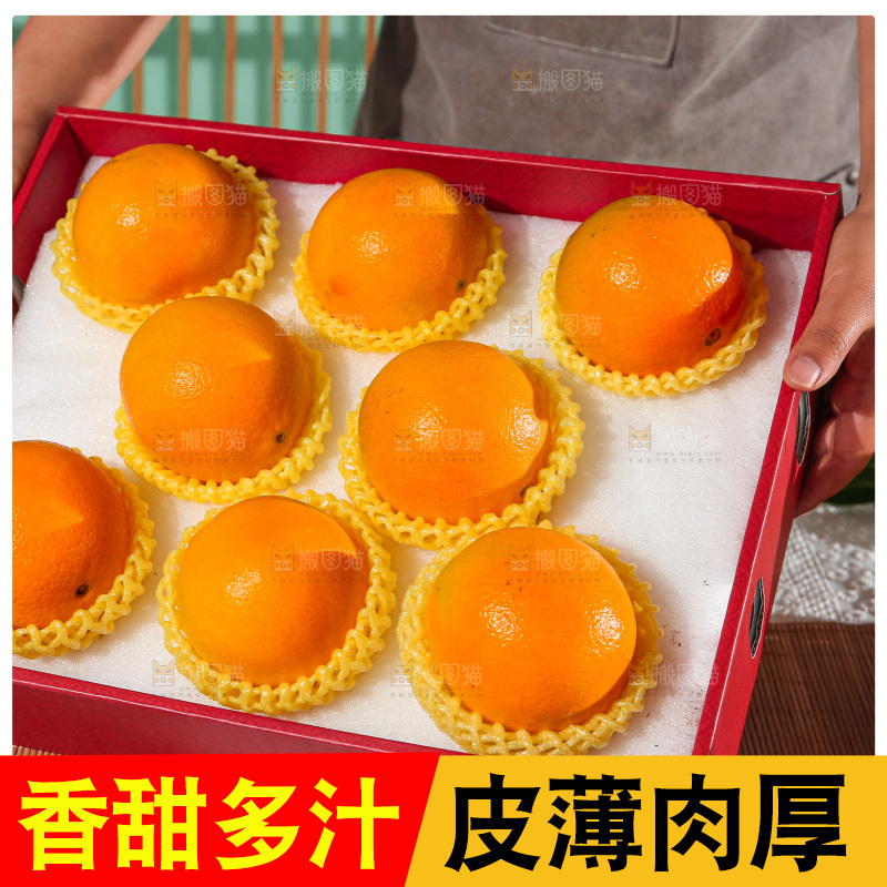 浅底上的赣南脐橙