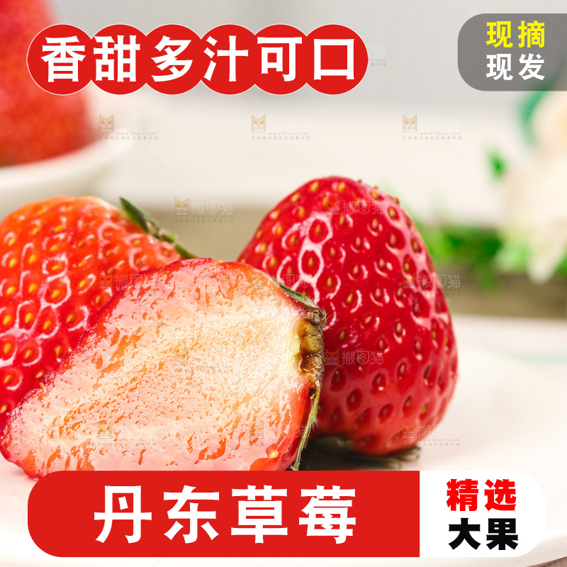 浅底上的丹东大草莓