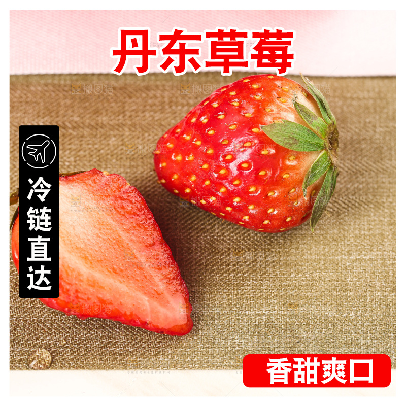 浅底上的丹东大草莓