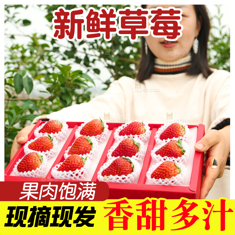 礼盒装新鲜丹东草莓