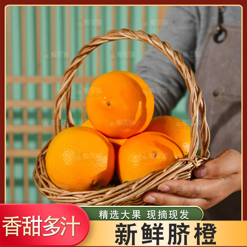 浅底上的赣南脐橙