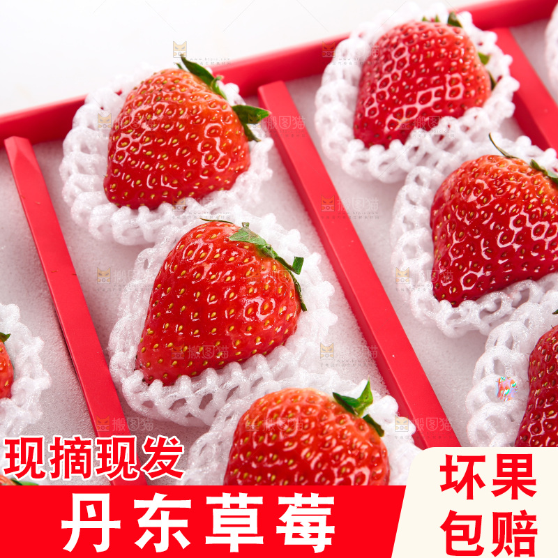 白底上的草莓