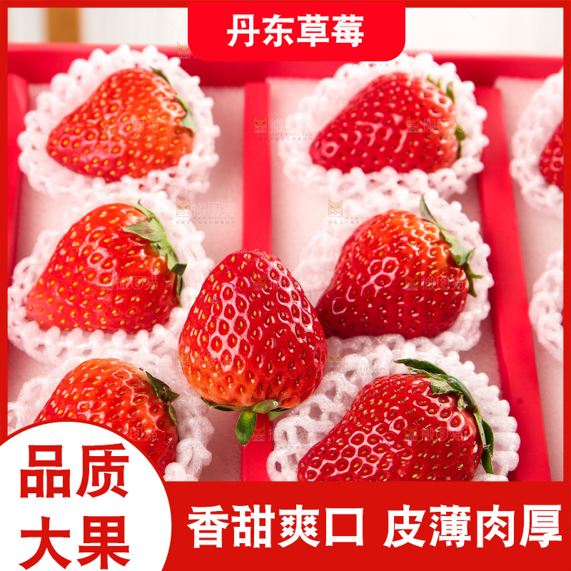 礼盒装新鲜丹东草莓
