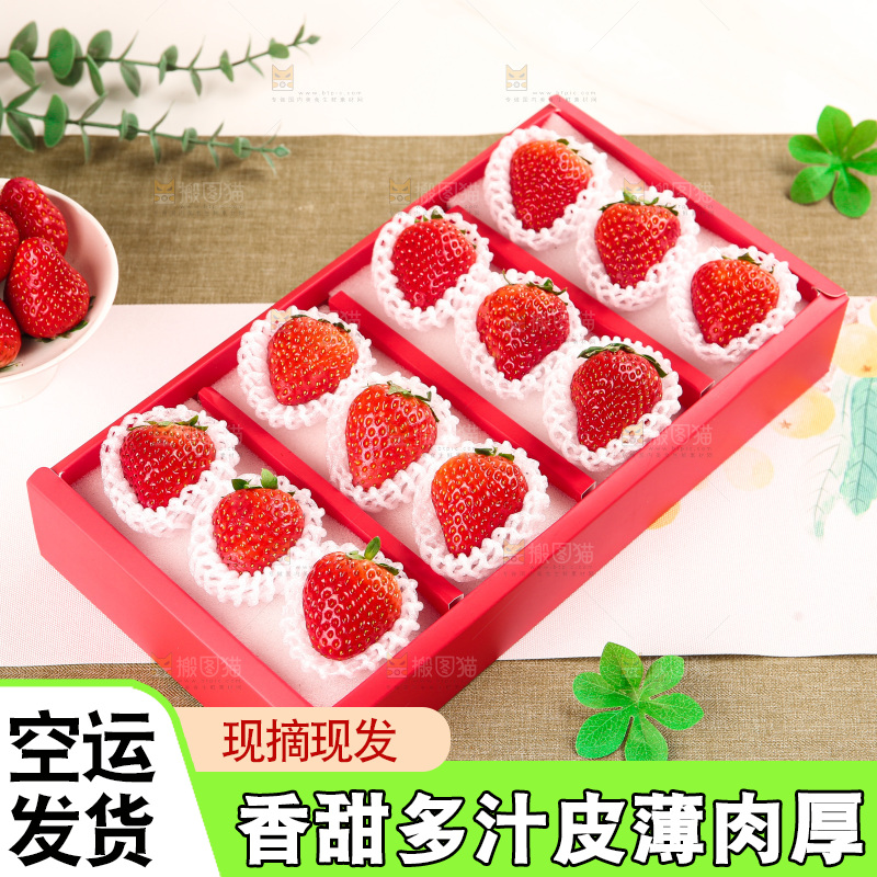 礼盒装新鲜丹东草莓
