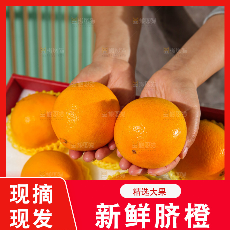 浅底上的赣南脐橙