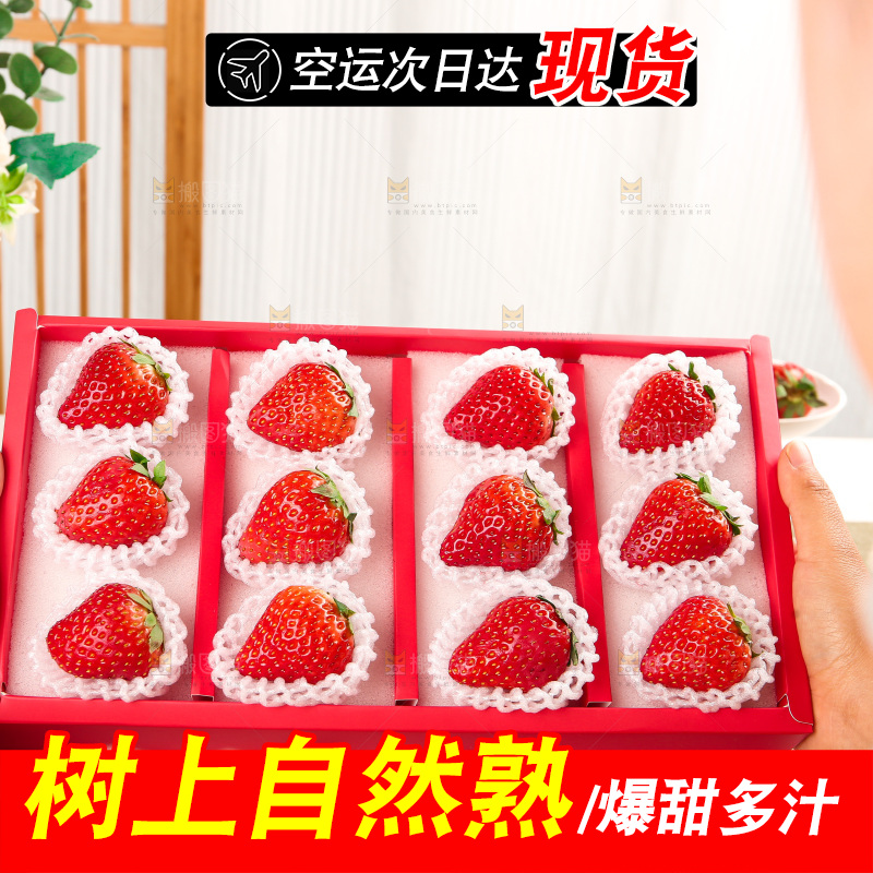 礼盒装新鲜丹东草莓
