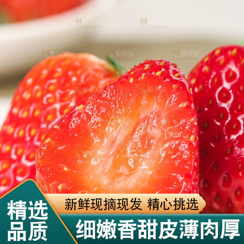 浅底上的丹东大草莓