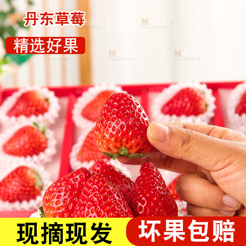 礼盒装新鲜丹东草莓