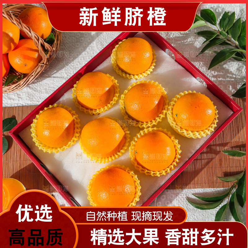 浅底上的赣南脐橙