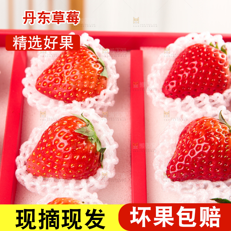 礼盒装新鲜丹东草莓