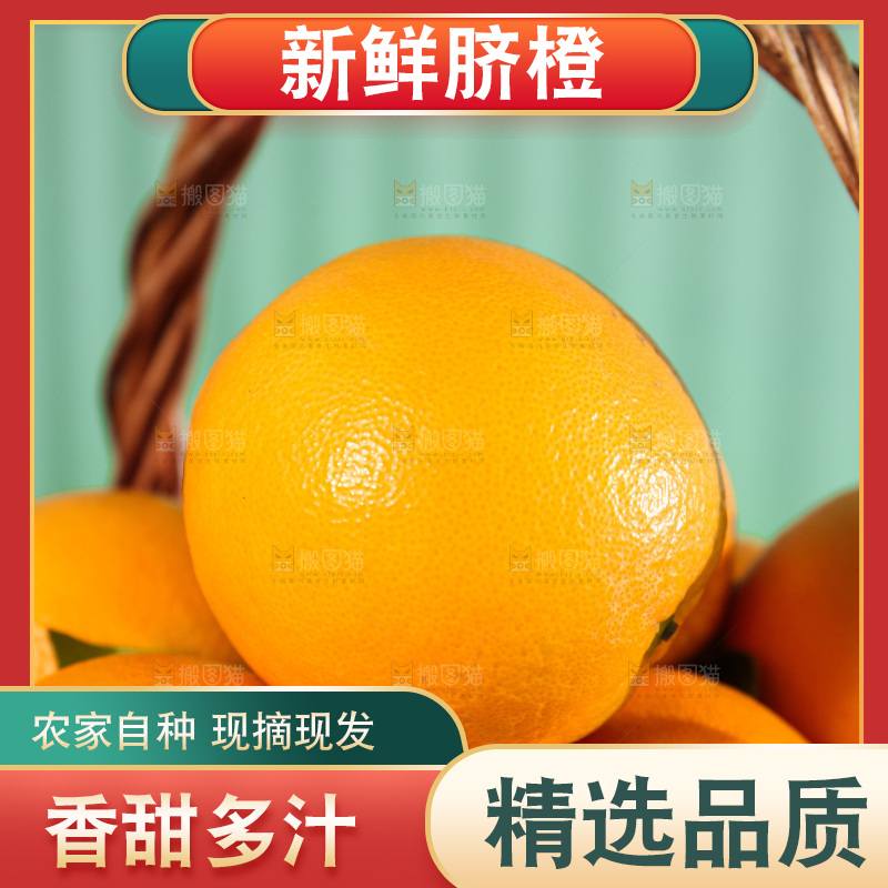 浅底上的赣南脐橙