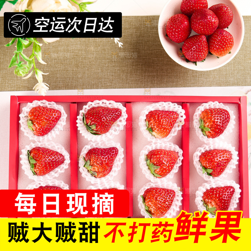 礼盒装新鲜丹东草莓