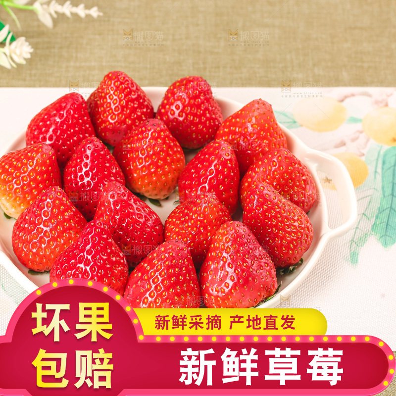 浅底上的丹东大草莓