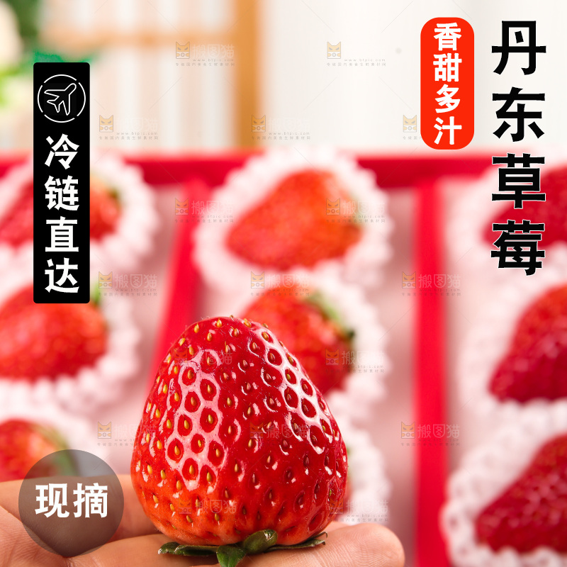 礼盒装新鲜丹东草莓