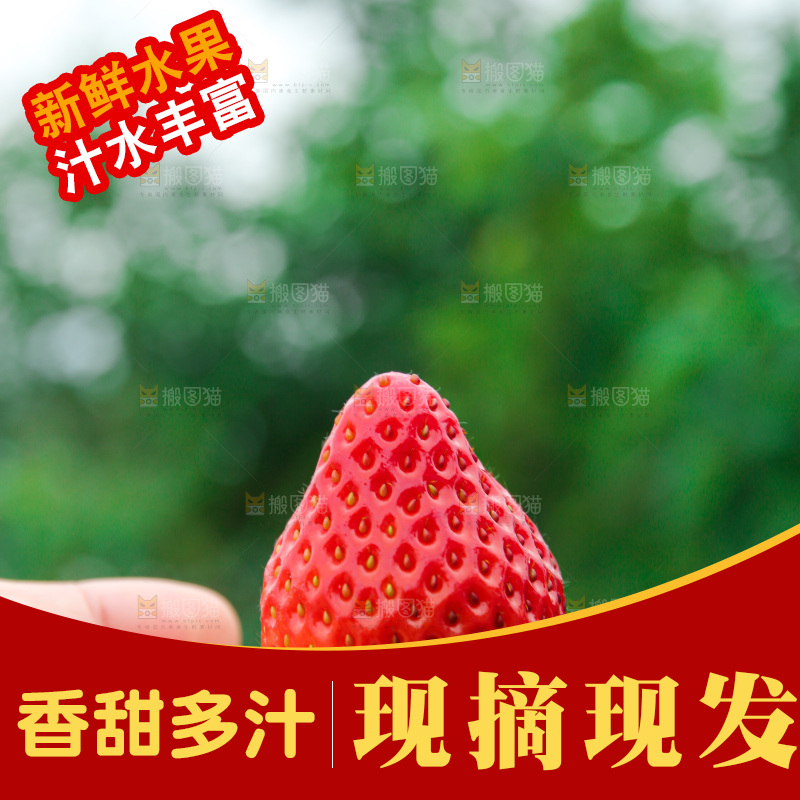 手拿着的草莓