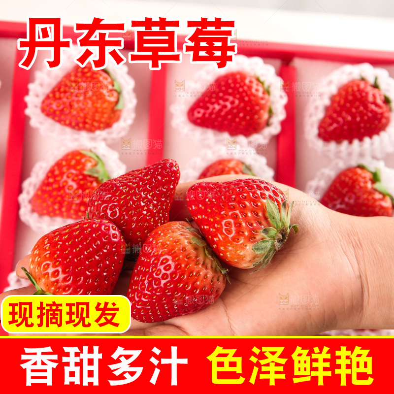 礼盒装新鲜丹东草莓