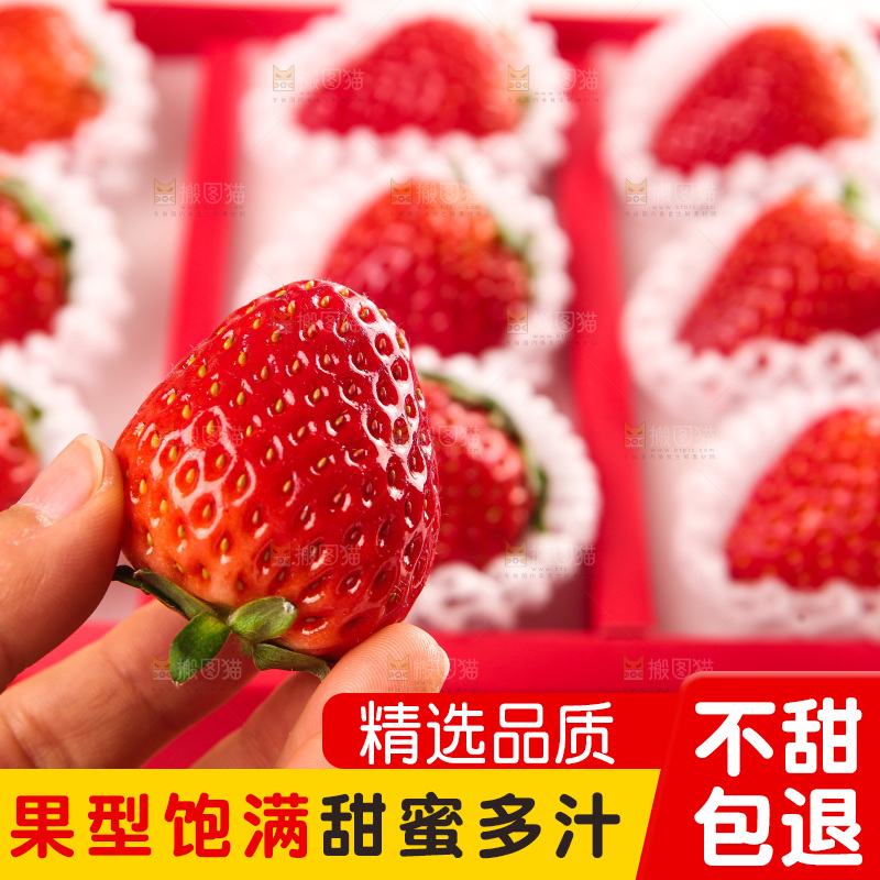 礼盒装新鲜丹东草莓