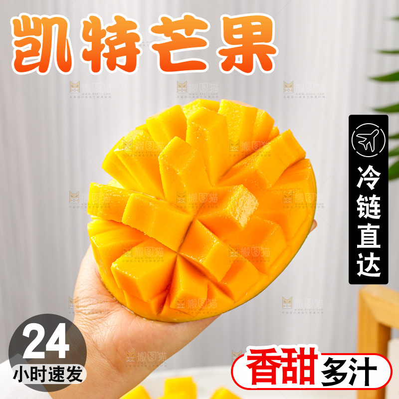 手里拿着凯特芒