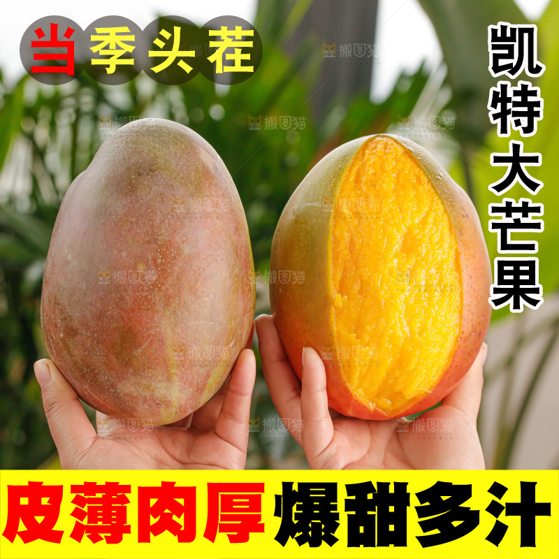 手里拿着凯特芒