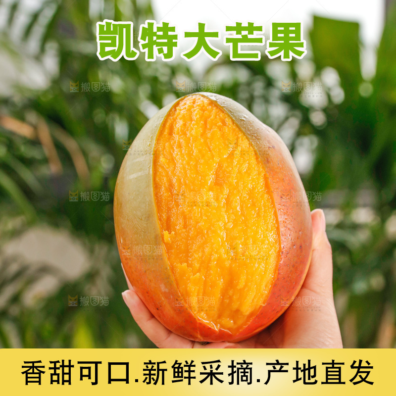 手里拿着凯特芒