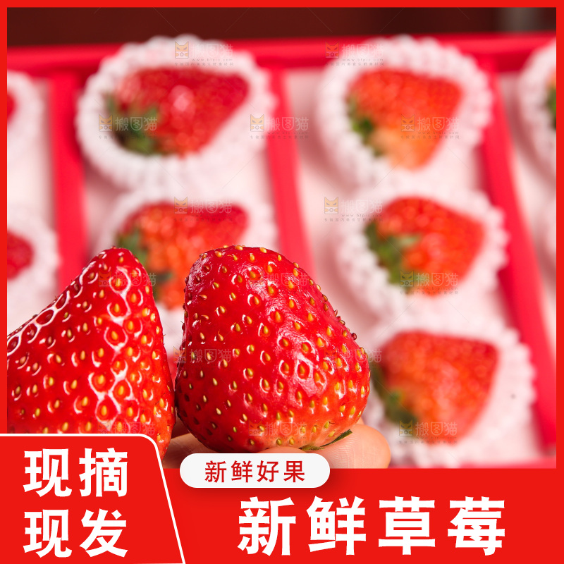 礼盒装新鲜丹东草莓