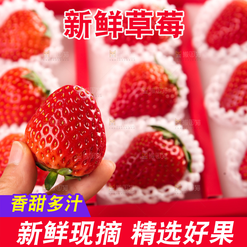 礼盒装新鲜丹东草莓