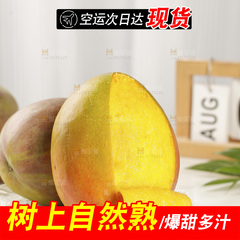 浅底上的凯特芒