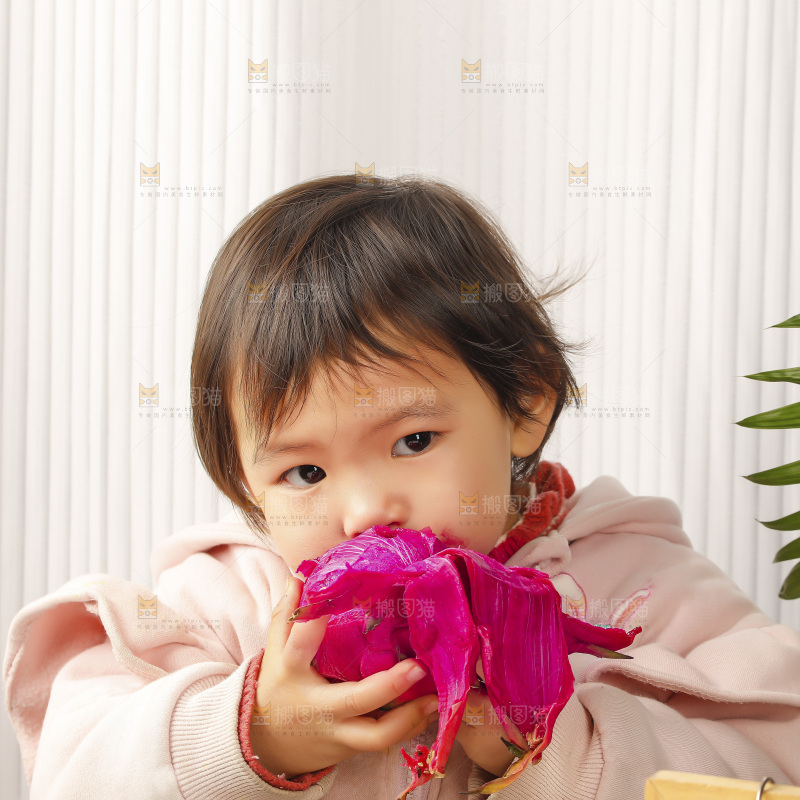 小孩吃红心火龙果