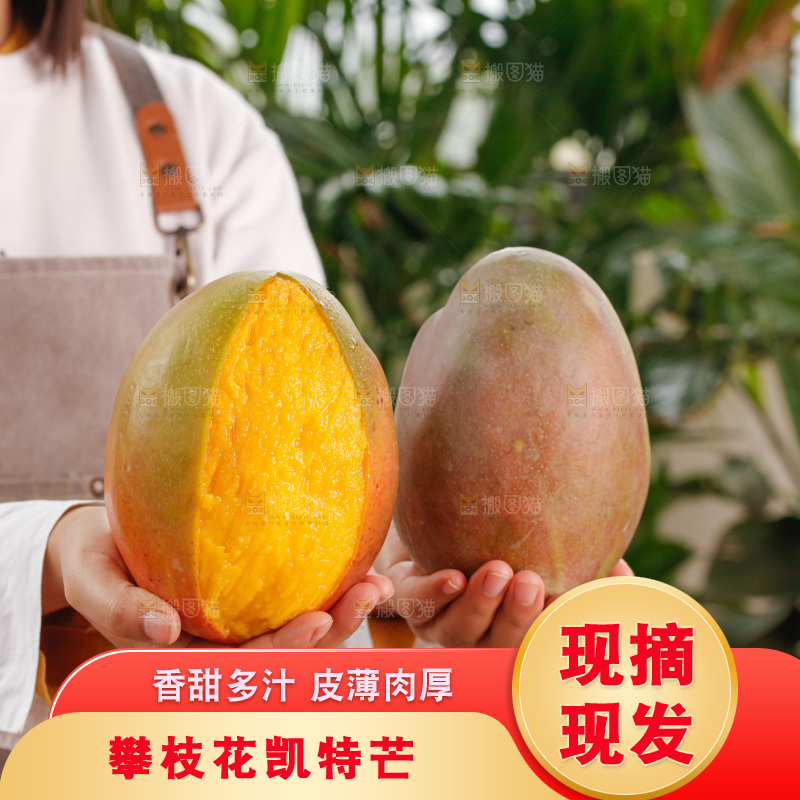 手里拿着凯特芒