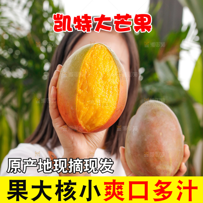 手里拿着凯特芒