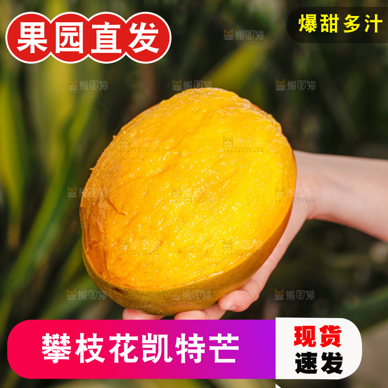 手里拿着凯特芒
