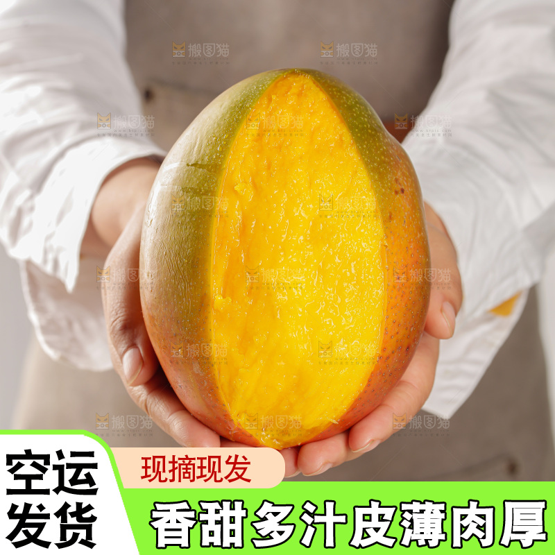 手里拿着凯特芒