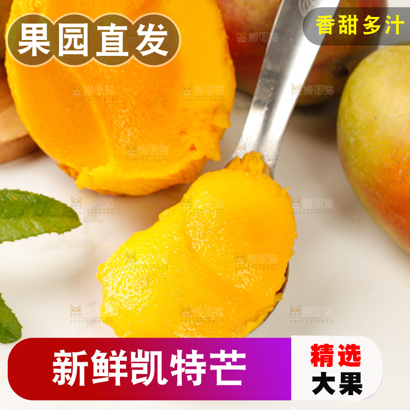 浅底上的凯特芒