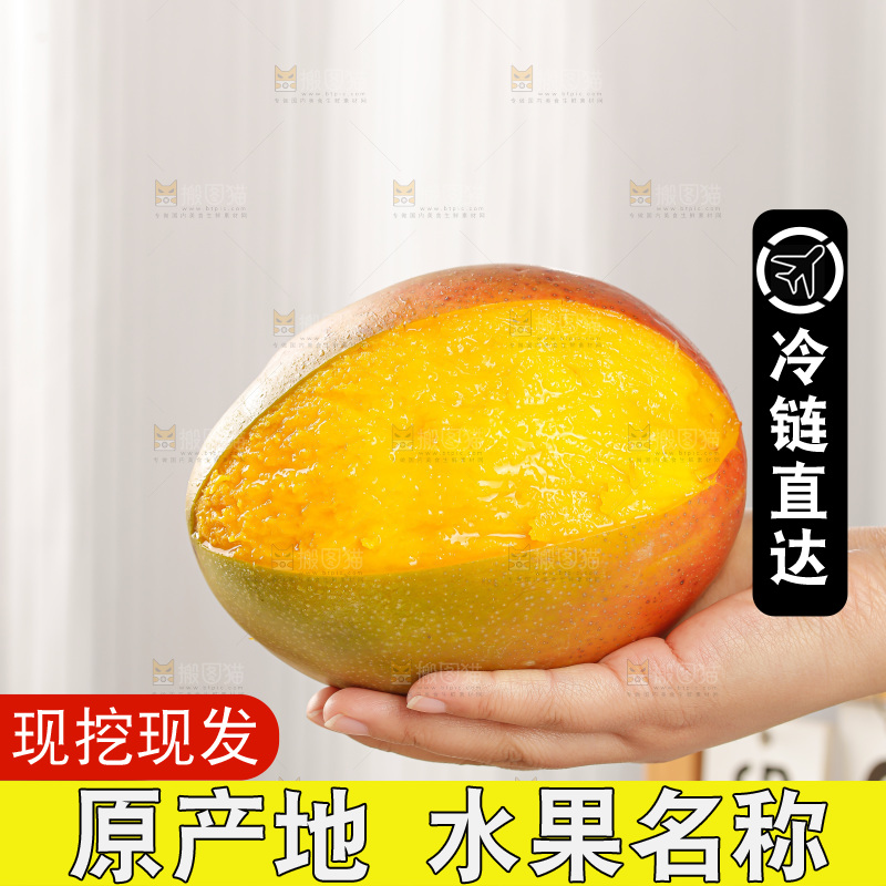 手里拿着凯特芒
