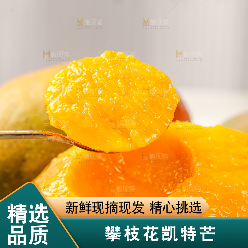 浅底上的凯特芒