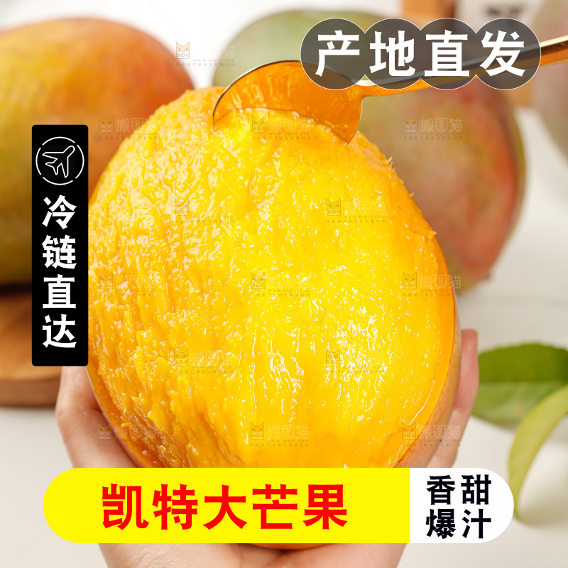 手里拿着凯特芒