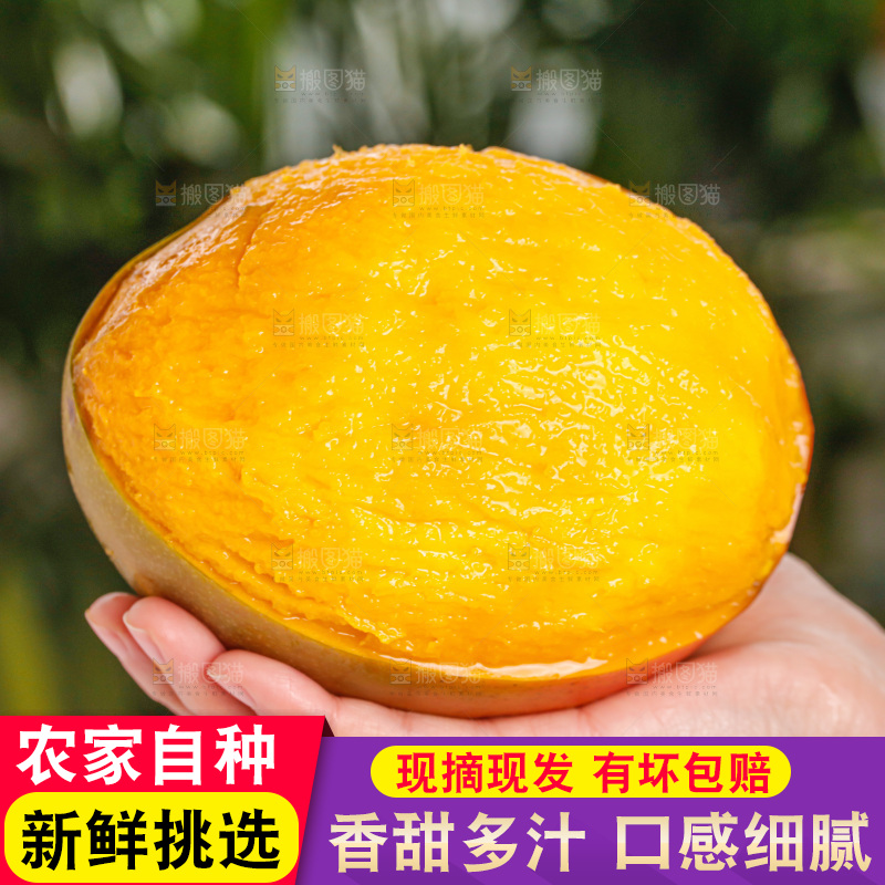 手里拿着凯特芒