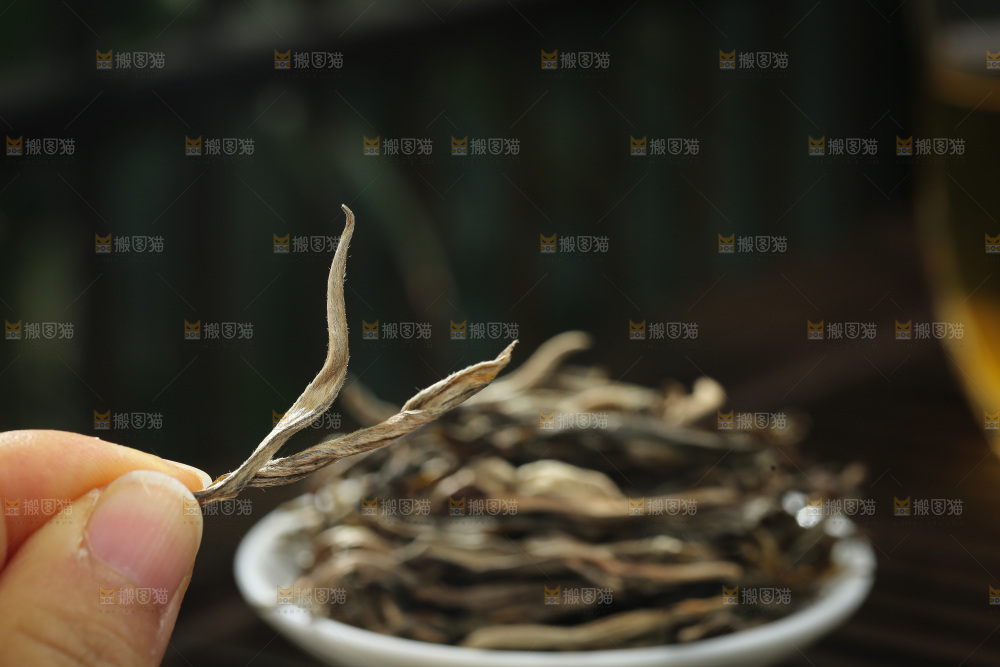 深底上的生普茶