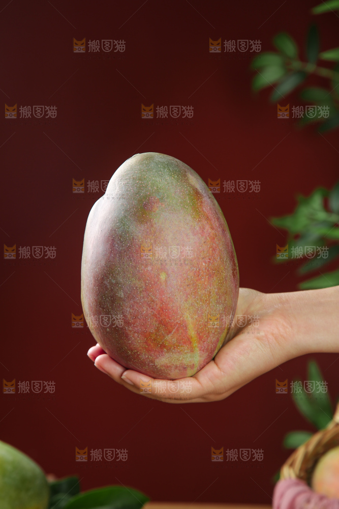 深底上的凯特芒