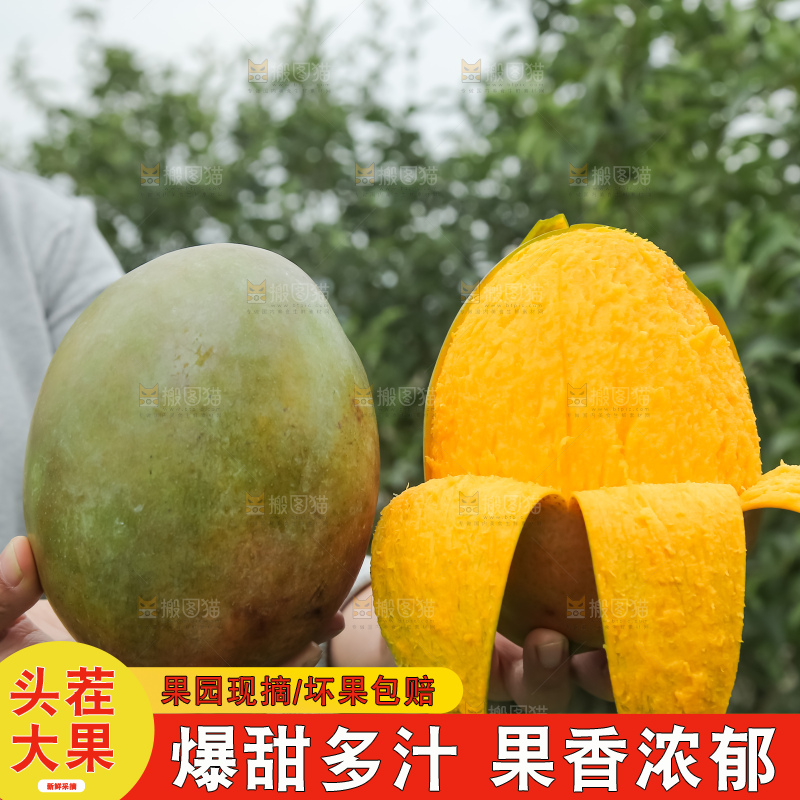 深底上的凯特芒
