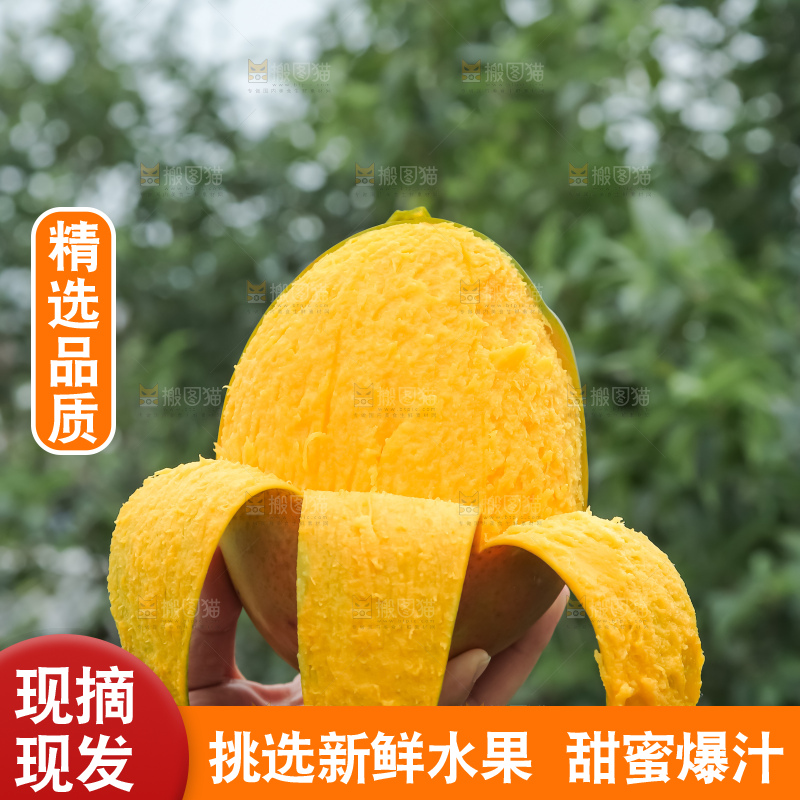 深底上的凯特芒