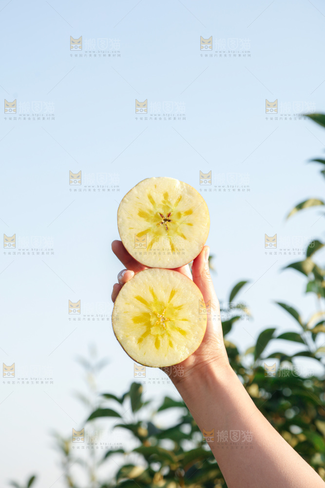 手里拿着丑苹果