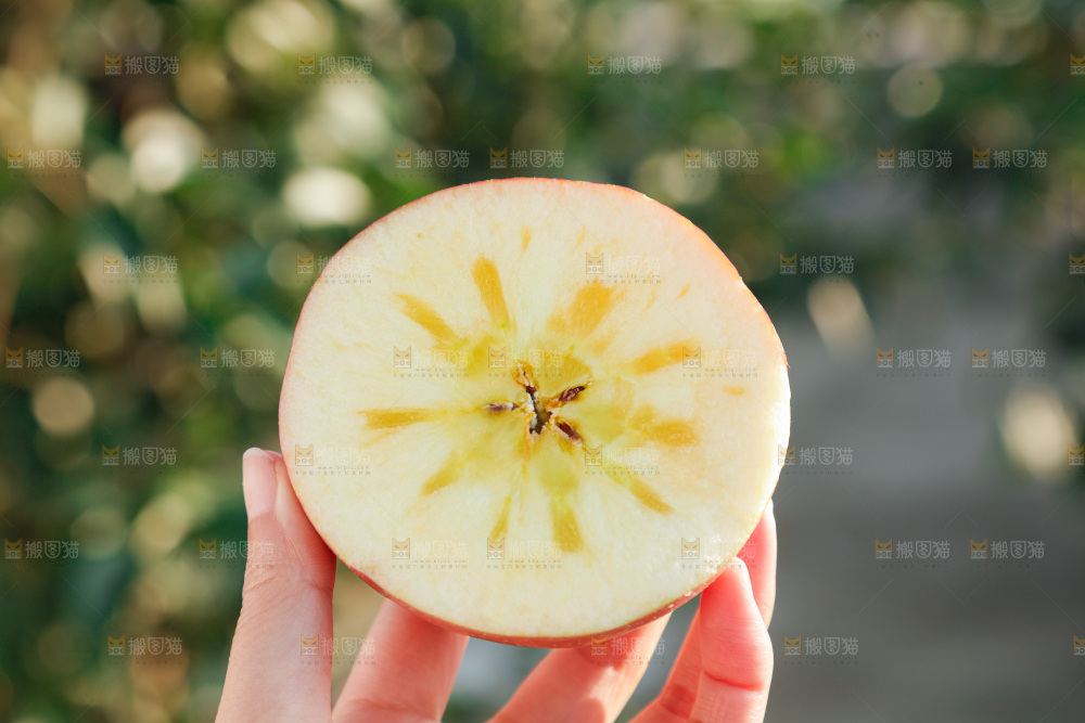 手里拿着丑苹果