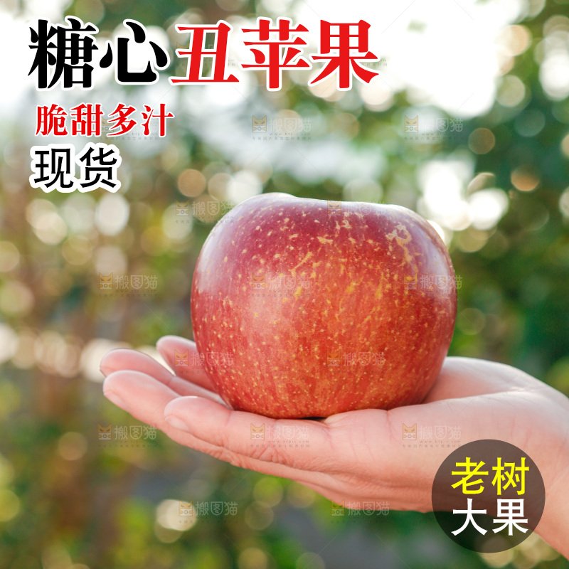 手里拿着丑苹果